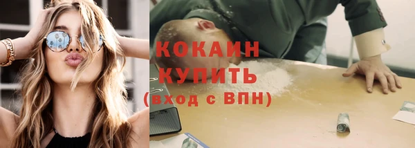 гидра Рославль